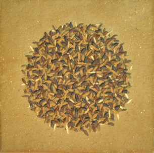 Mraveniště II, 2010, 27x27 cm